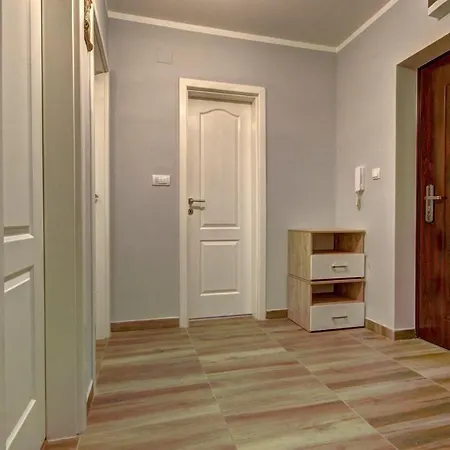 Apartman David *